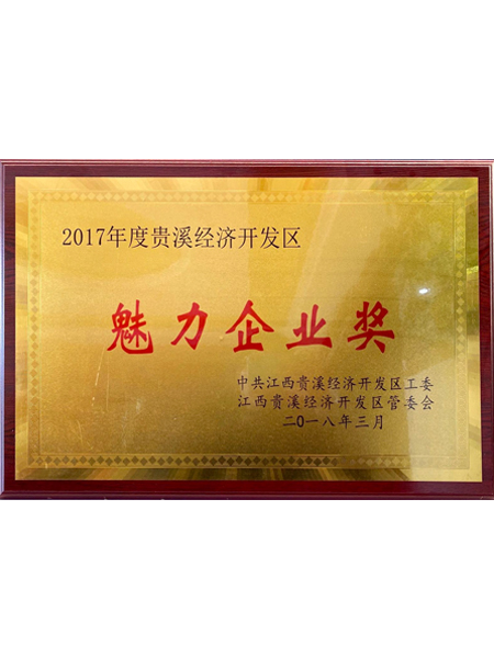 2017年度贵溪经济...