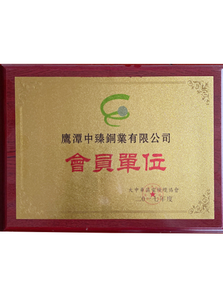 大中华区电线缆协会会...