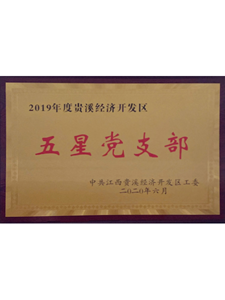 五星党支部