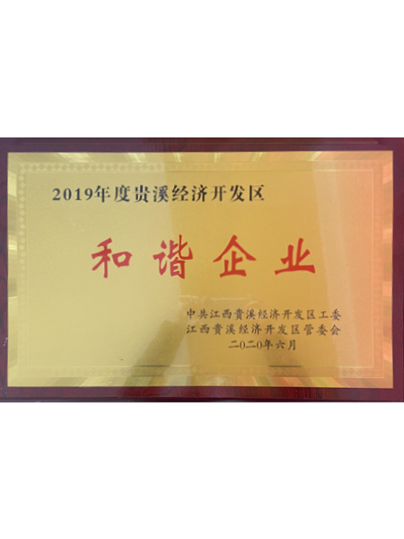 2019年度贵溪经济...