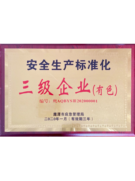 2020年安全生产标...