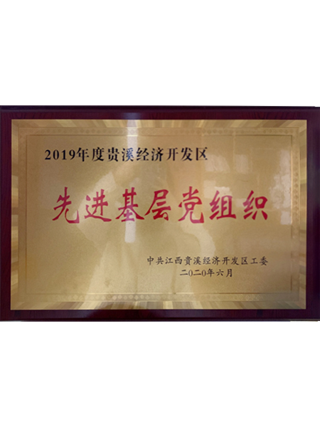 2019先进基层党组...