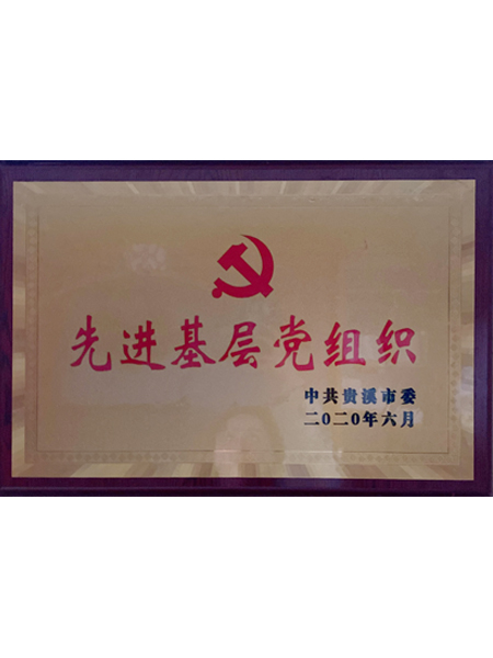 2020先进基层党组...
